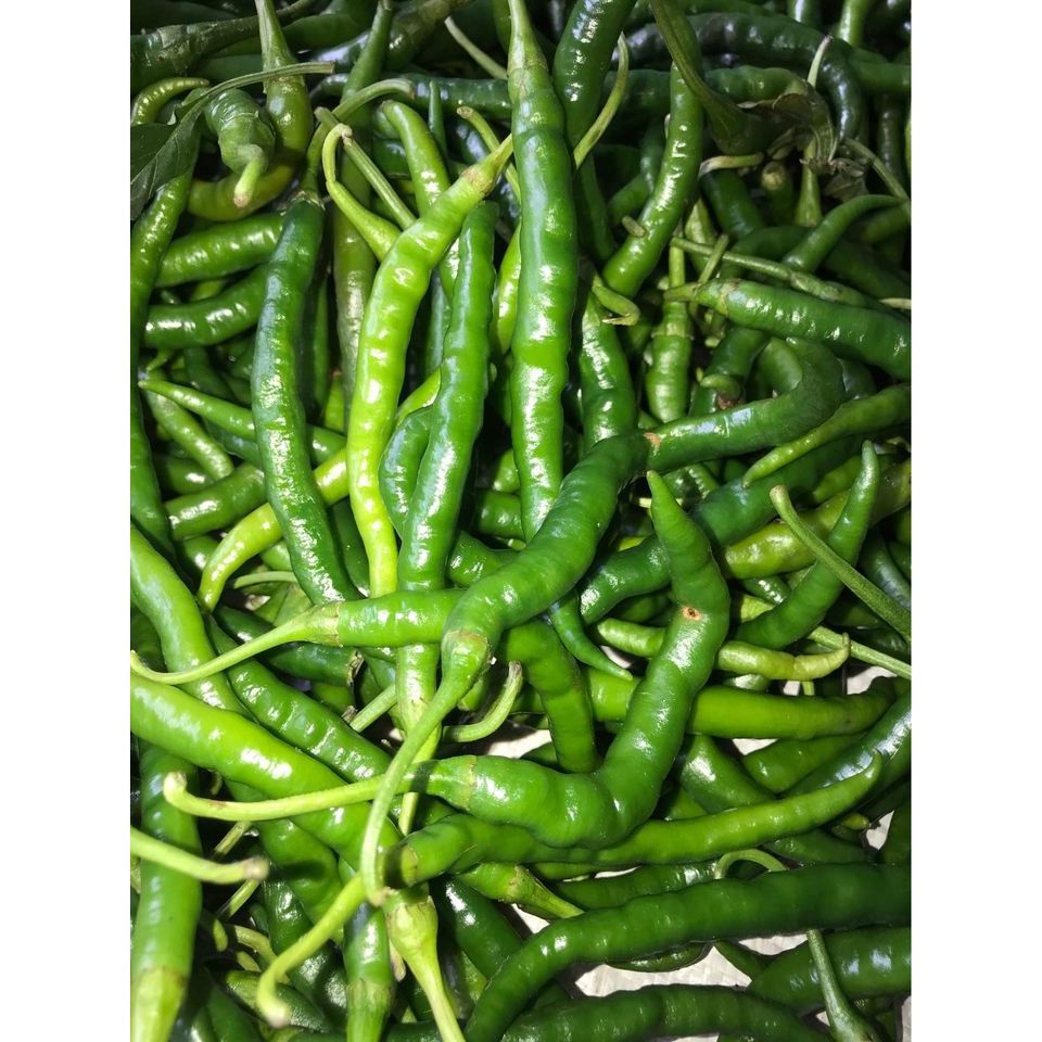 

Cabe Hijau Keriting 500Gr