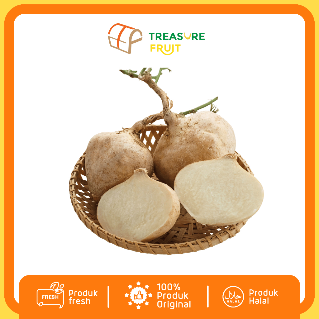 

RB BENGKOANG Fresh 1 KgI Treasure Fruit - Buah Sehat dan Segar