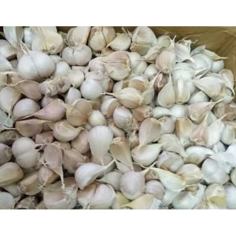 

bawang putih kating 500gram