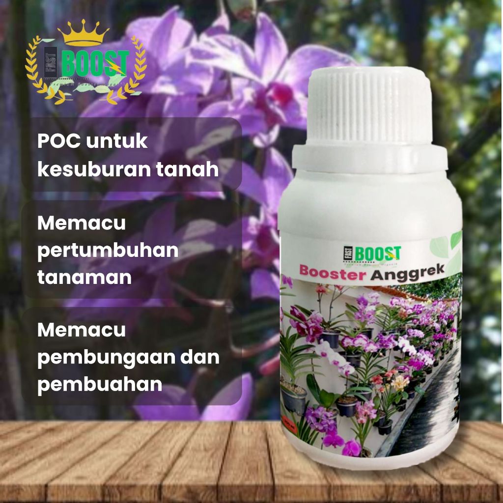 Pupuk booster anggrek perangsang bunga dan tunas mengandung vitamin alami