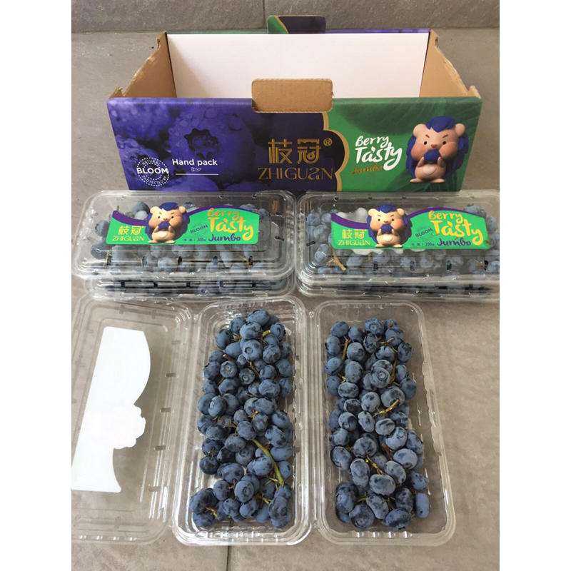 

Buah Blueberry Jumbo RRC 1 Dus (6 Pack) Fresh Import