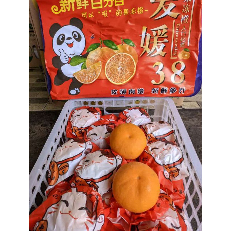 

jeruk decopon 1kg