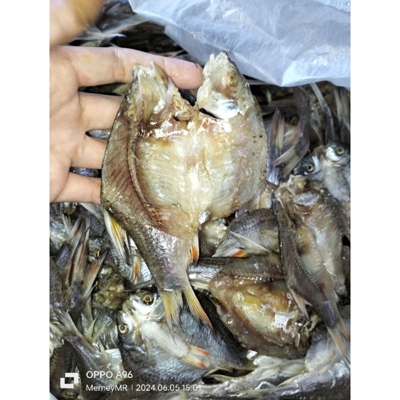 

Ikan asin Lampam Bela