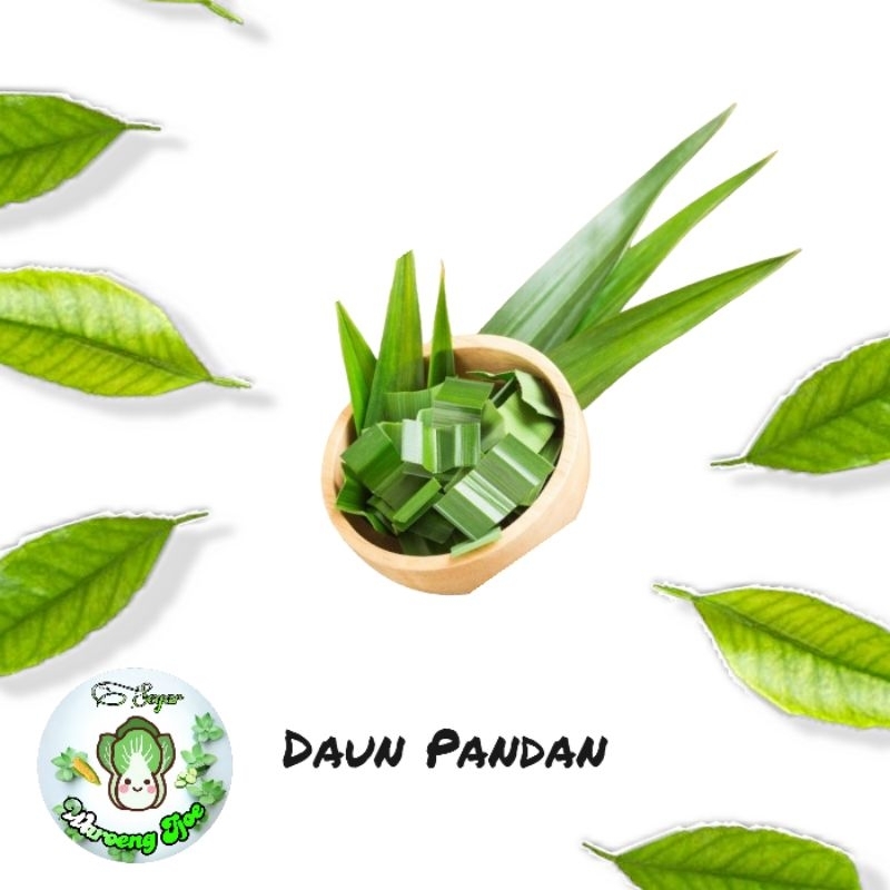 

Daun Pandan 1 Ikat Segar