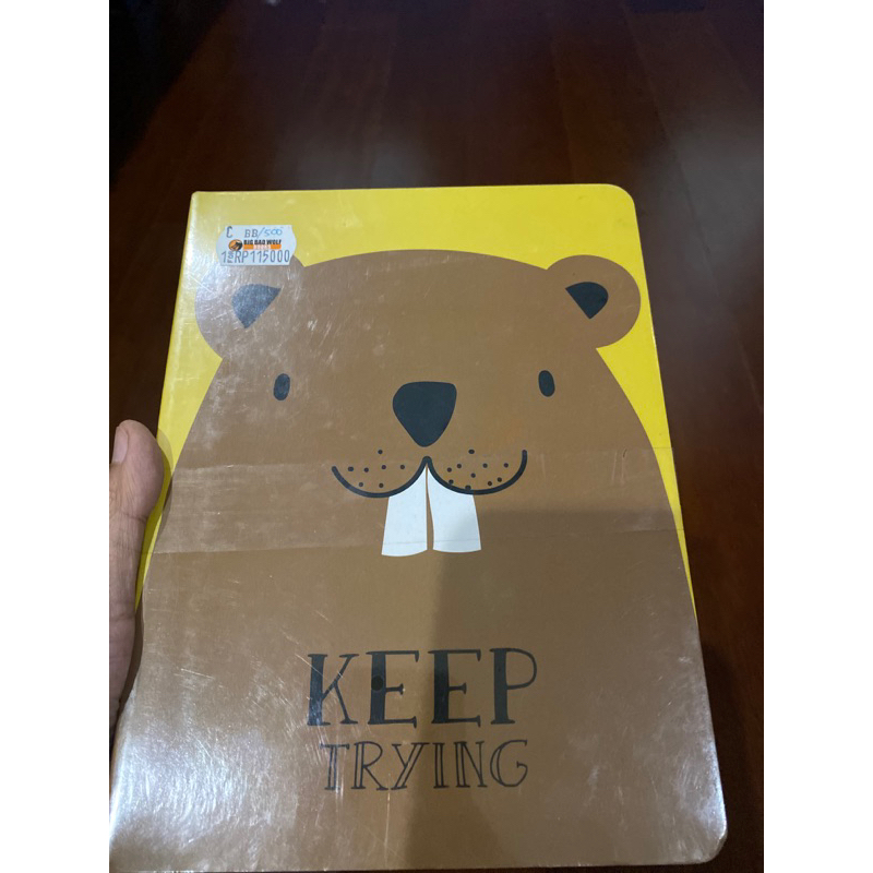 (Preloved) Buku Anak BBW