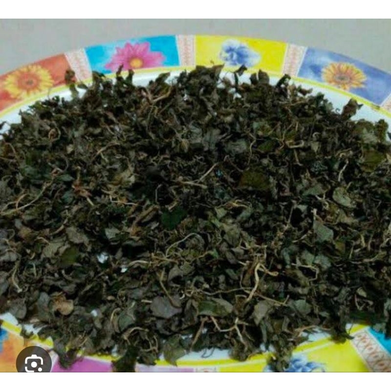 

Sirih Cina Kering Premium Teh 60 Gram Obat Herbal Termurah