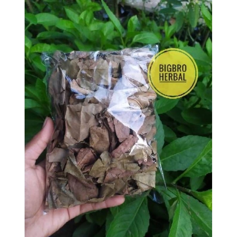 

daun sukun kering l organik l herbal alami fresh