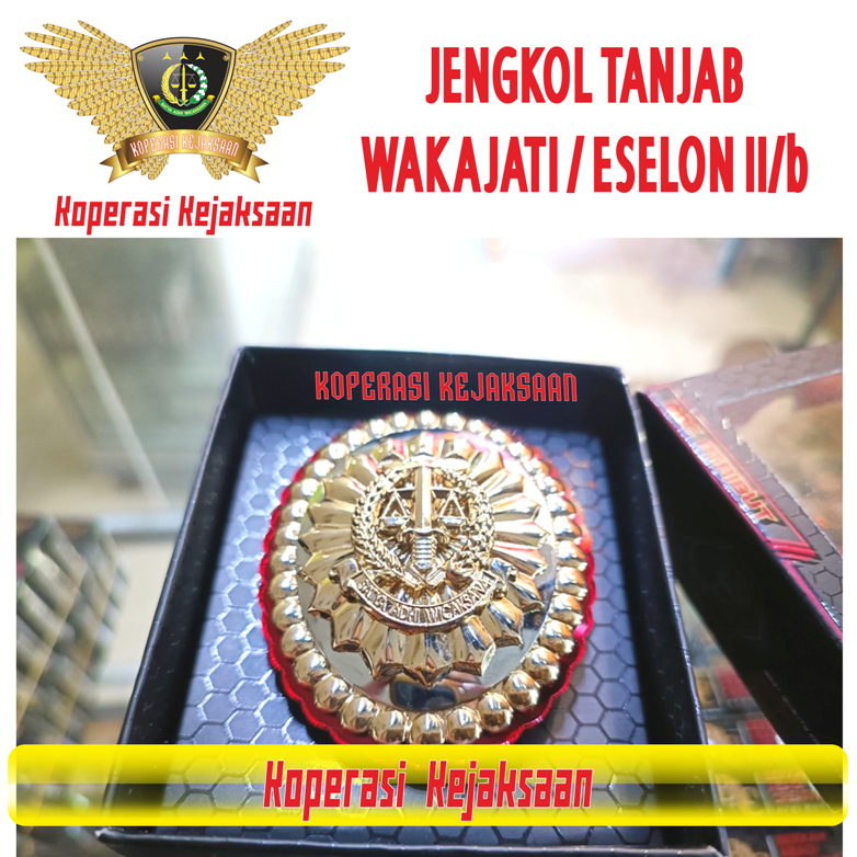 TANJAB TANDA JABATAN WAKAJATI ESELON II/b KEJAKSAAN | JENGKOL WAKIL KEPALA KEJAKSAAN TINGGI