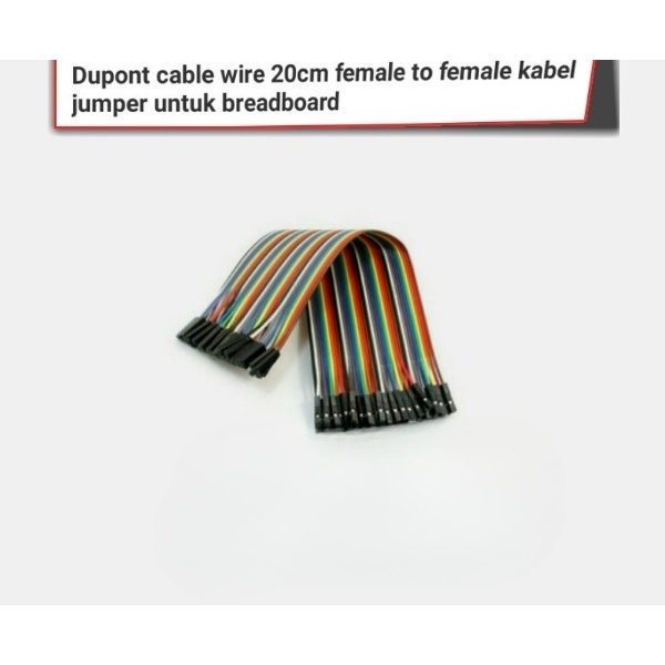 Kabel Dupont Jumper Female To Female 20 Cm 20 Pcs Artec01 Berkualitas
