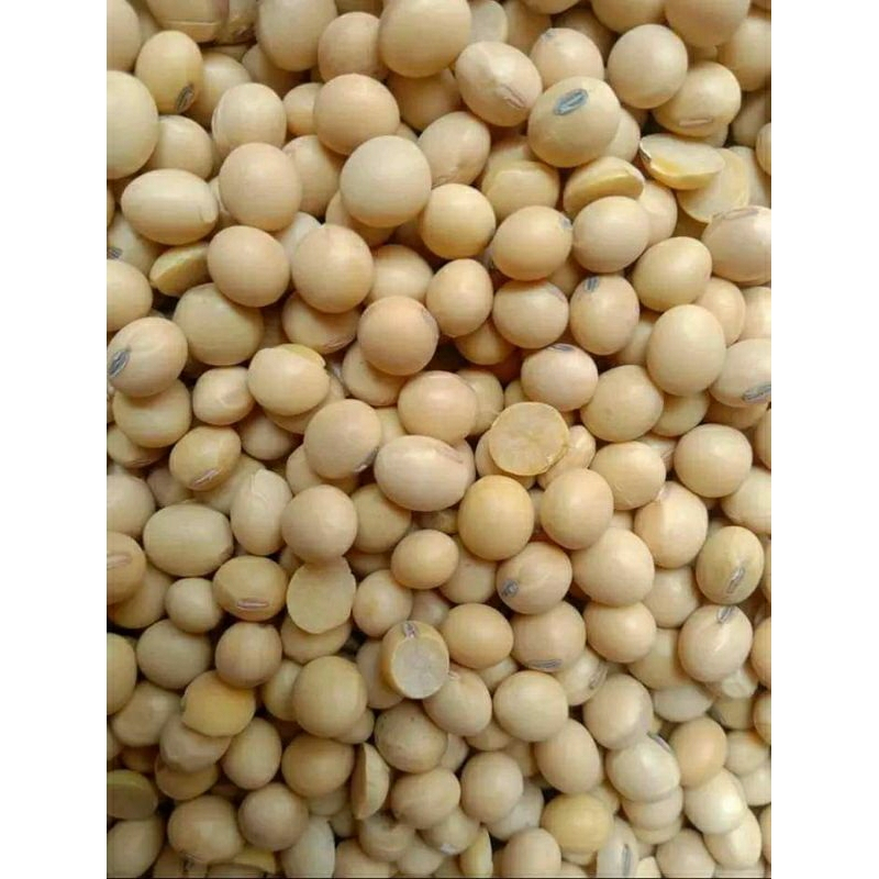 

Kacang Kedelai Bola Import Utuh USA - KEDELAI LOKAL BELAH PECAH - Kedelai Tempe - Kedelai Susu
