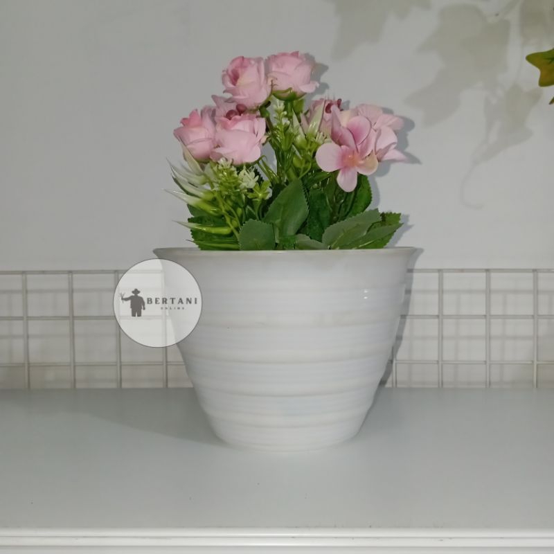 Pot Keong Putih Ukuran 20 AKG