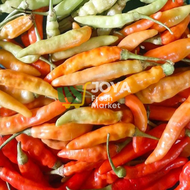 

Joya Fresh - Cabe Caplak/Cabai Rawit Caplak Bali/Cabe Setan