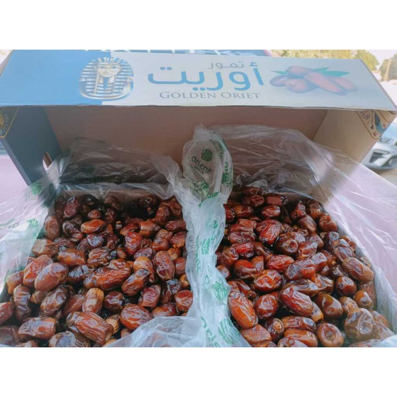 

Kurma Madu Mesir High Quality Premium Grade A