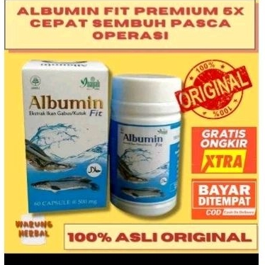 Albumin fit kapsul ekstrak ikan gabus / kutuk original