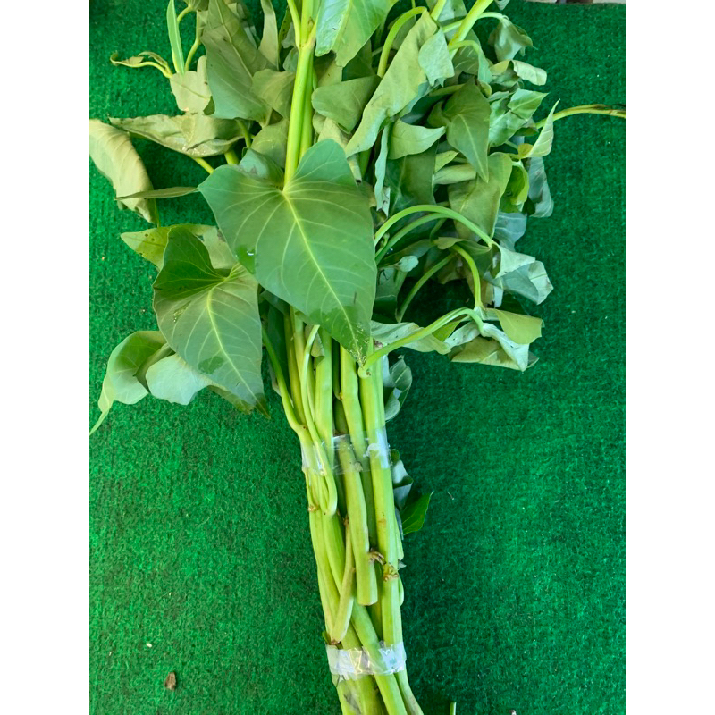 

kangkung lombok