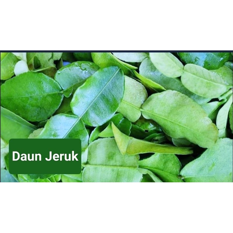 

Daun Jeruk per 50 Gram