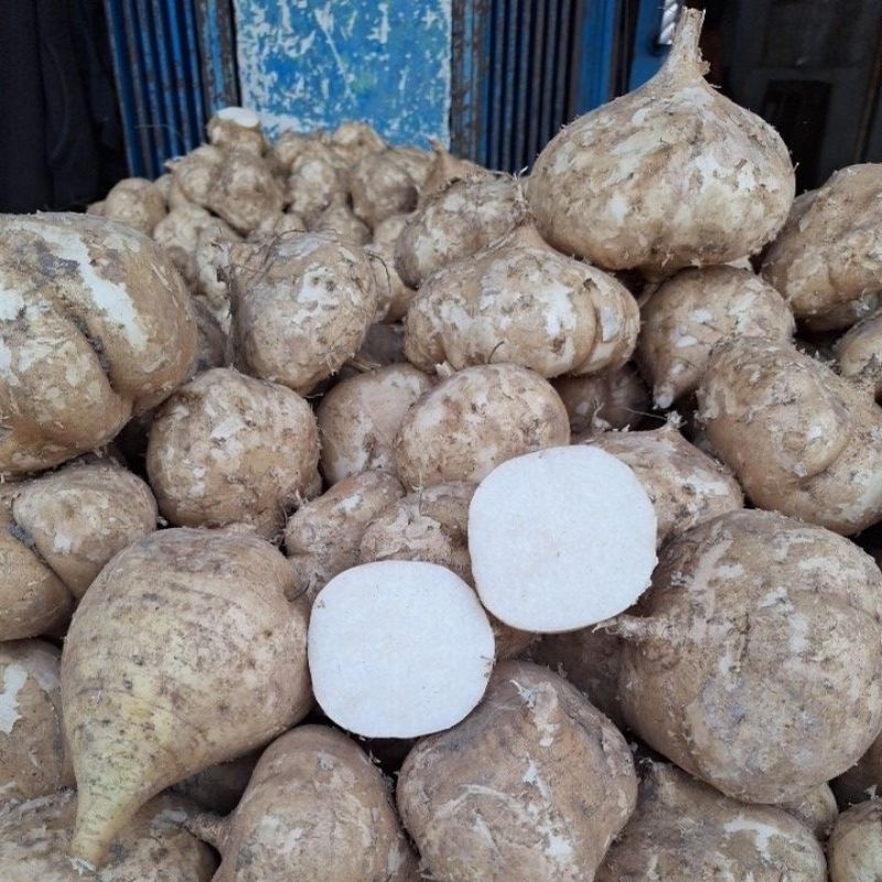 

Bengkoang(hargaperkg)