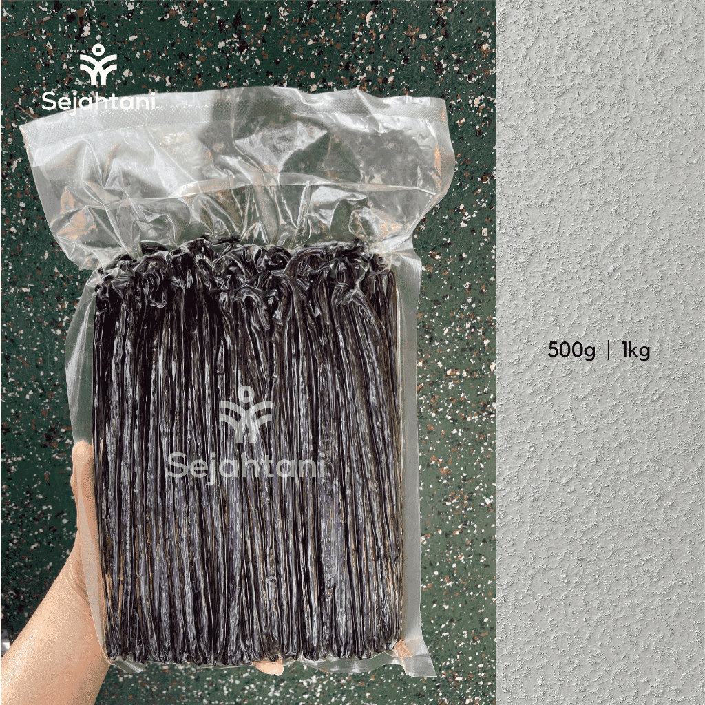 

Sejahtani Gourmet Vanilla Beans - 500gr / Vanilla Beans Planifolia Grade A - Biji Vanilla Kering Gourmet Premium - 18-22cm