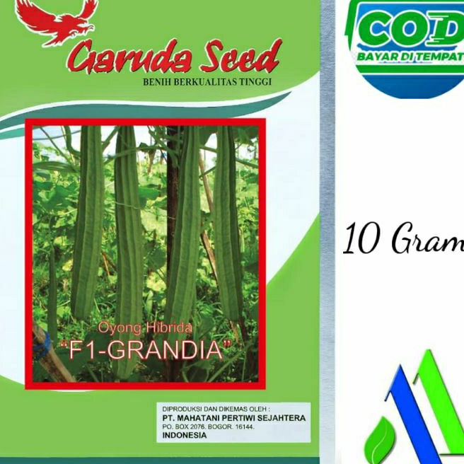 KI3 Benih Oyong GRANDIA F1 1gram Bibit Oyong Benih Oyong Hibrida Benih Oyong Gambas