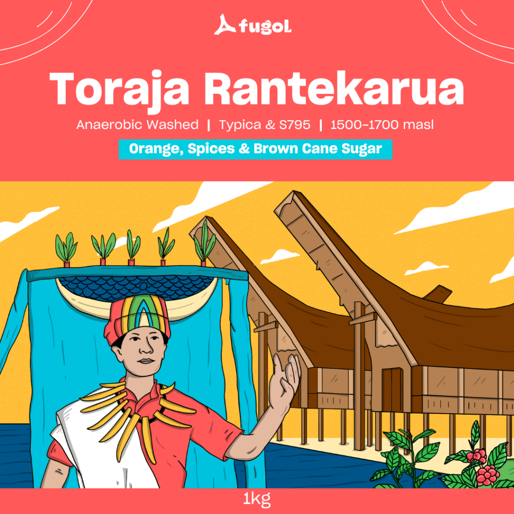 

Kopi Arabika TORAJA RANTEKARUA (1 KG) Single Origin Specialty Coffee Beans