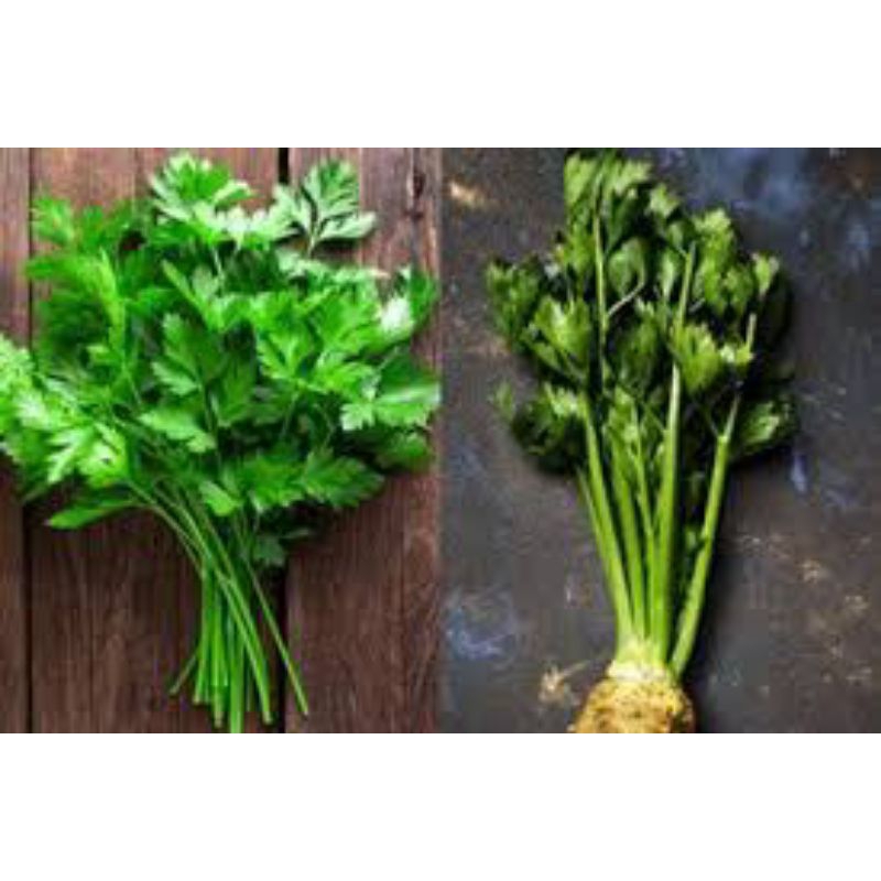 

daun seledri/celery 100gram