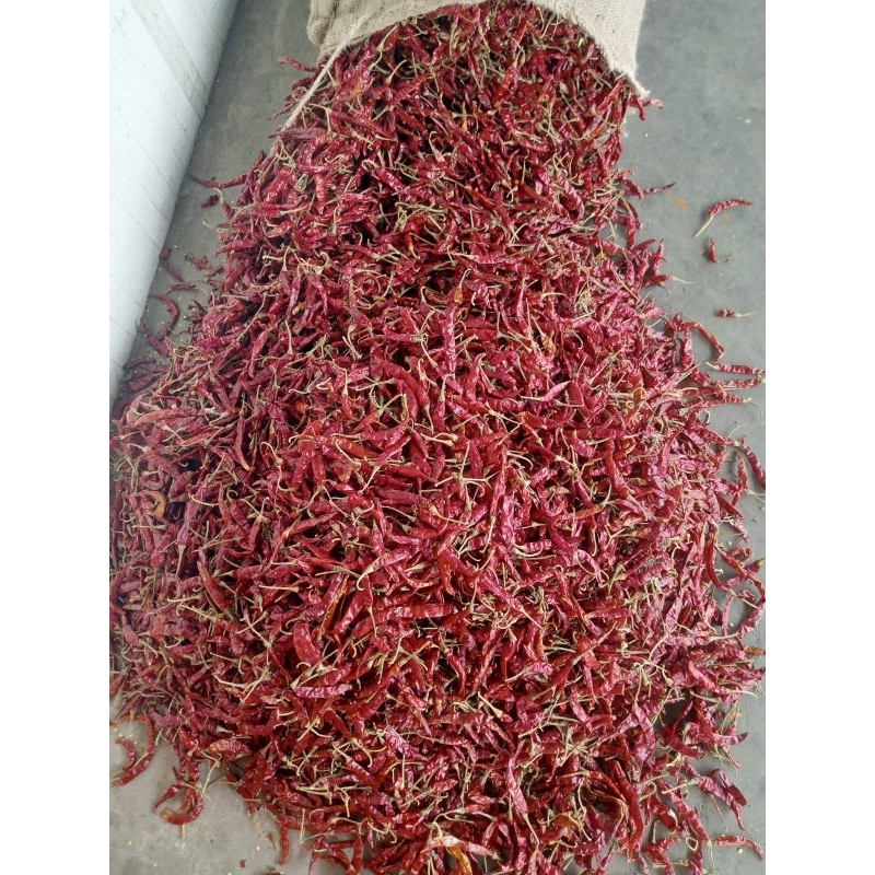 

Cabe Rawit Teja Tangkai Super Bagus 1kg, Teja japlak impor