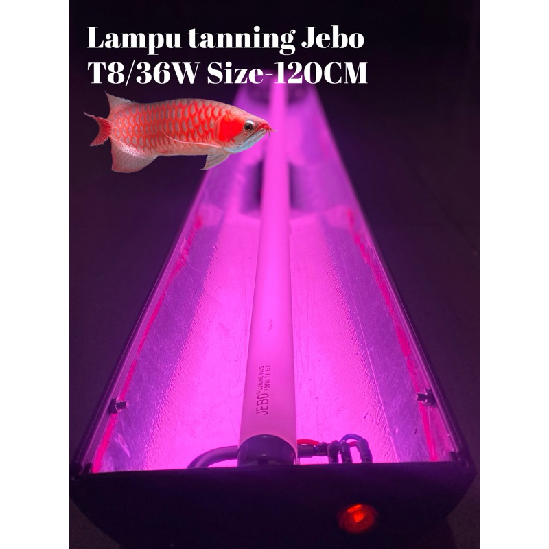 Lampu tanning Jebo T8 120CM
