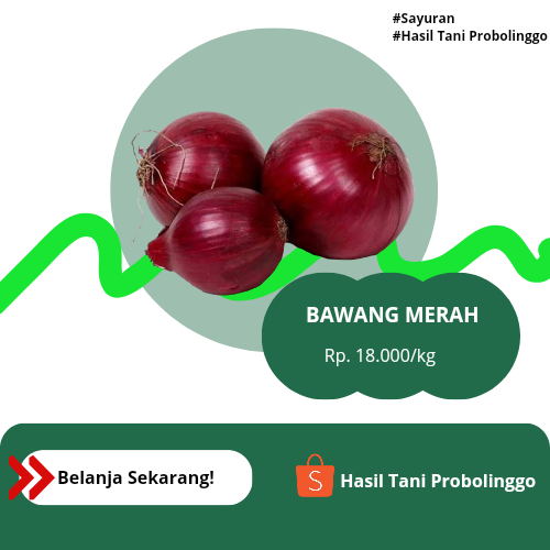 

Bawang Merah termurah 1kg