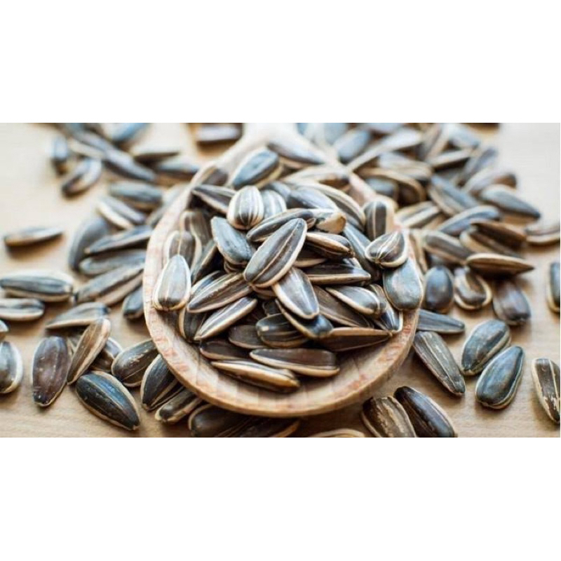 

KUACI BIJI BUNGA MATAHARI 250GRAM- SUNFLOWER SEED - KWACI MATANG - KUACI RASA ORIGINAL