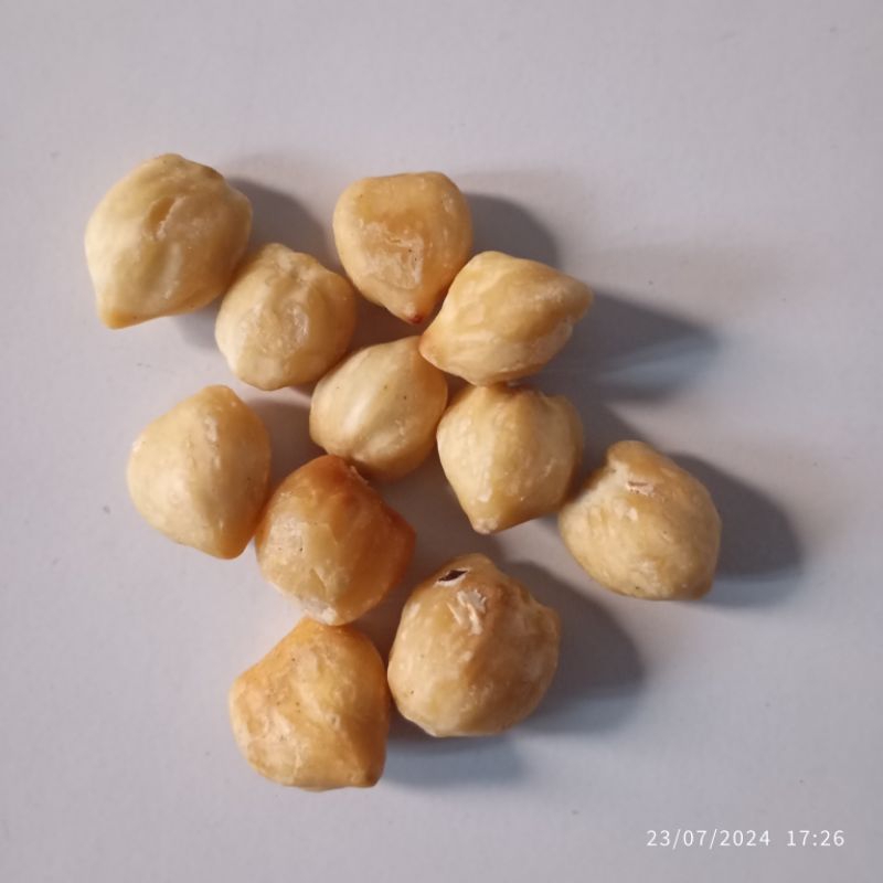 

Kemiri kering Fresh 100 gram