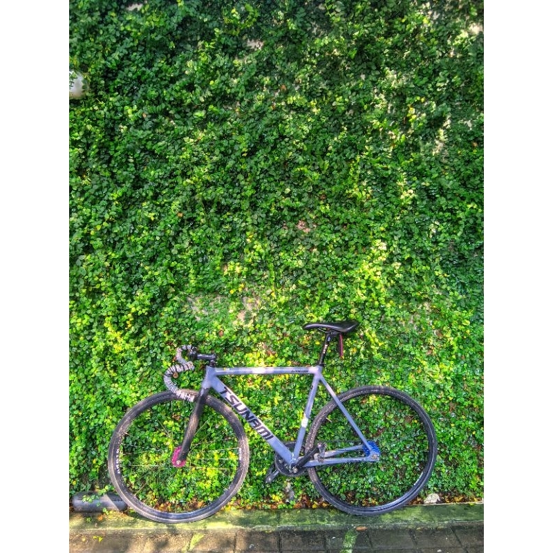FIXIE, TSUNAMI