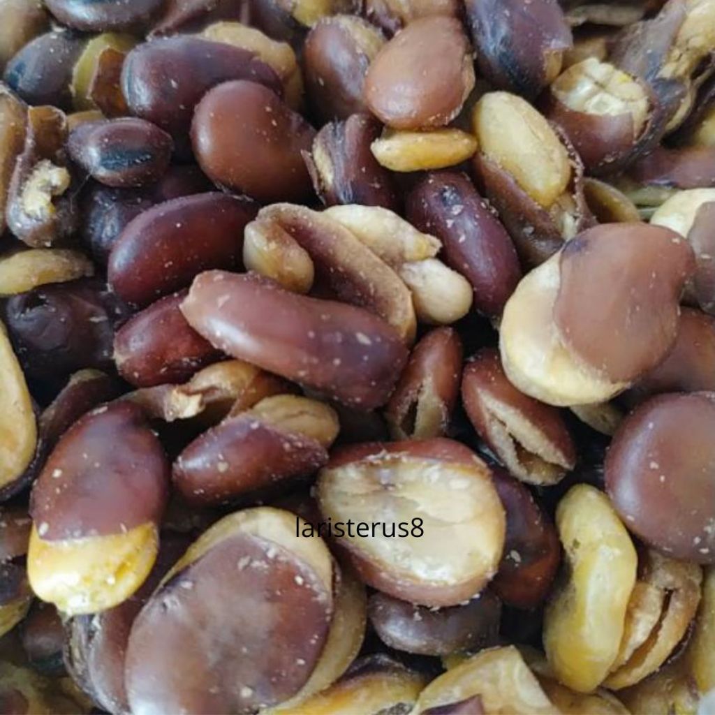 

Kacang KORO KULIT 265GRAM Cemilan Kacang Koro Kulit Gurih