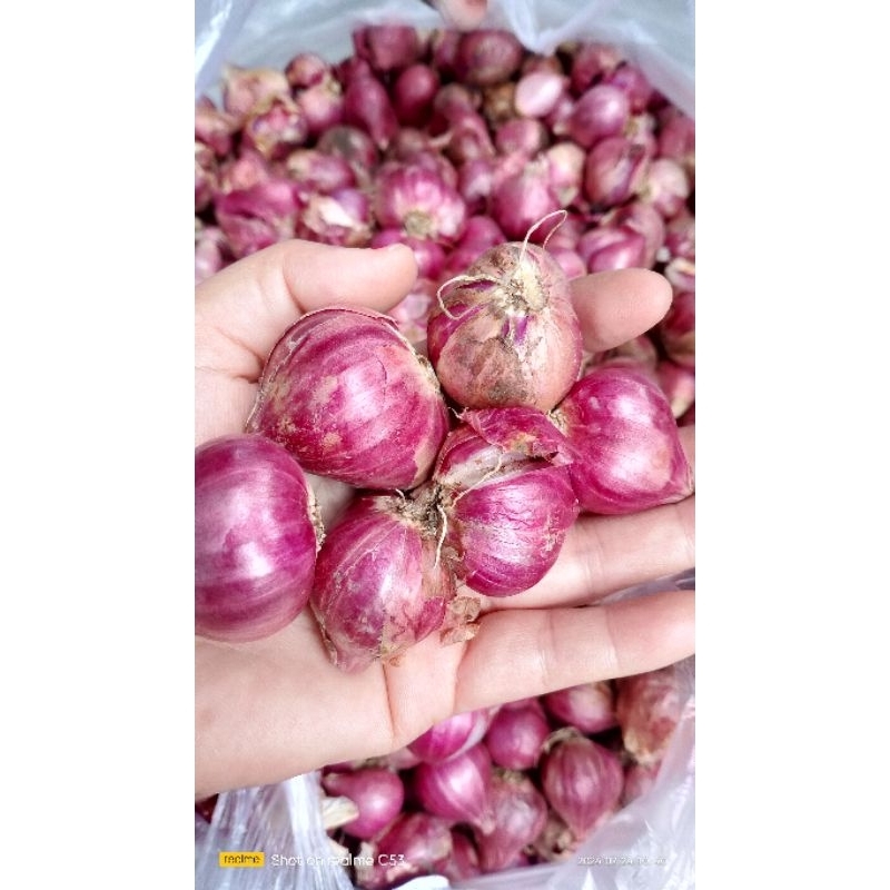 

bawang merah 1kg sedang kecil