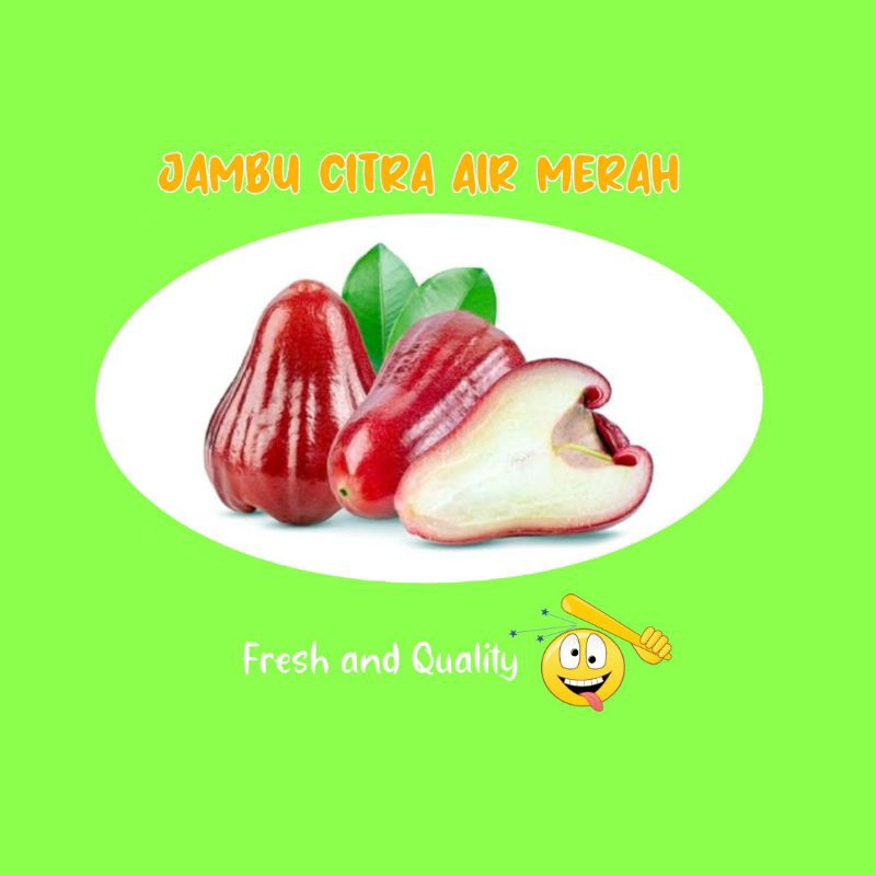 

BUAH JAMBU CITRA MERAH/JAMBU AIR