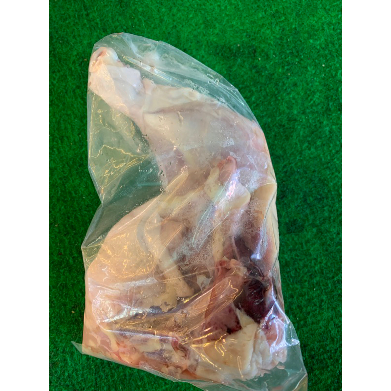 

paha ayam