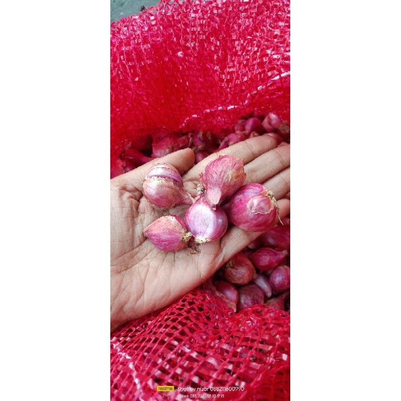 

bawang merah brebes grade AB