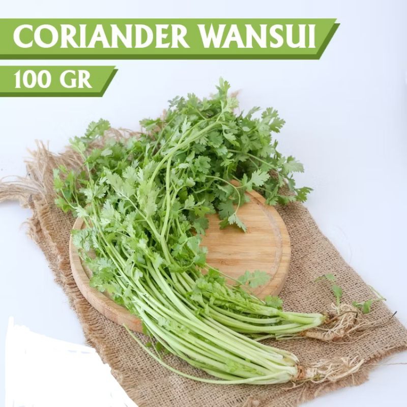 

DAUN KETUMBAR SEGAR 50 GRAM CORIANDER LEAF FRESH WANSUI INAGREEN ASLI DENPASAR BALI