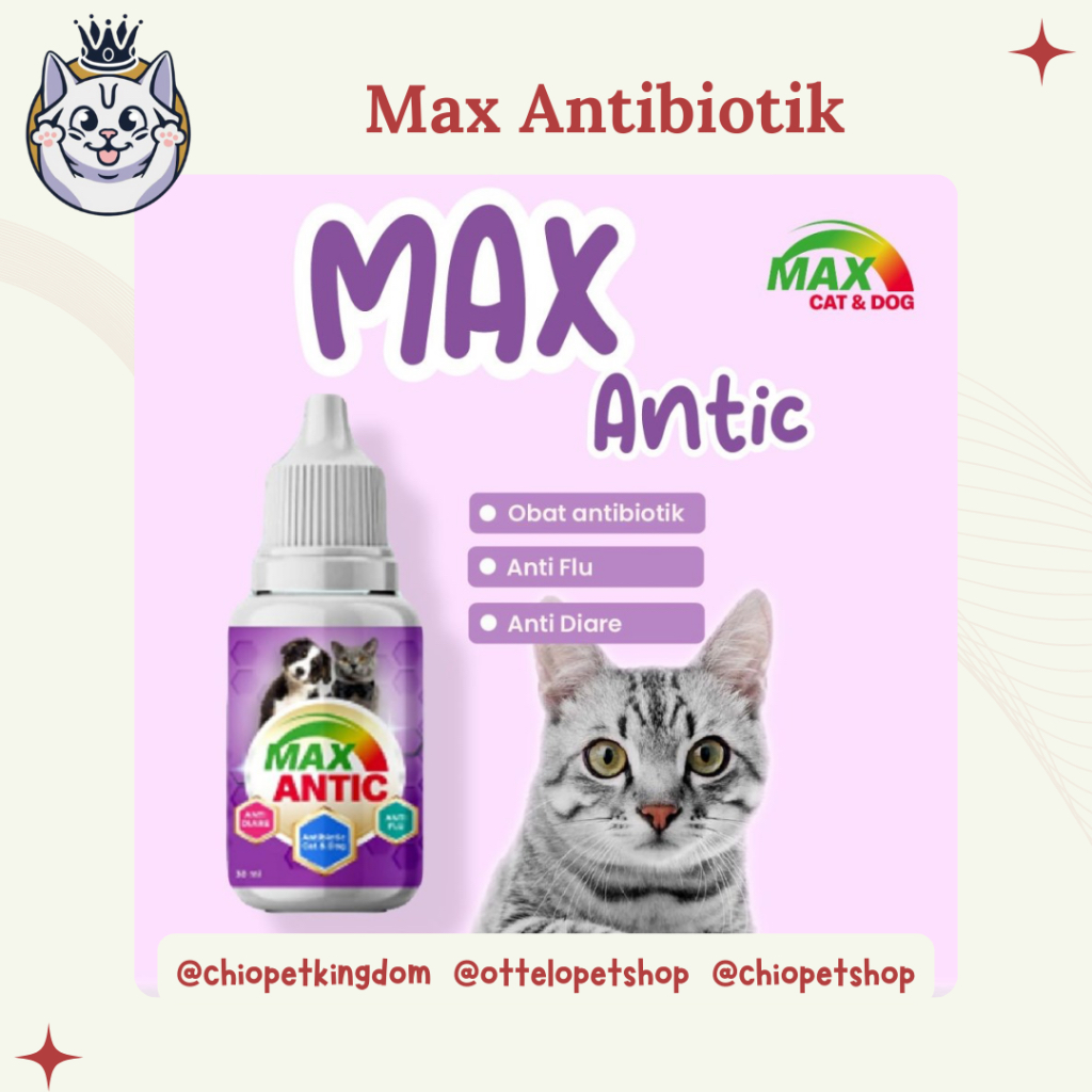 Max Antic Obat Antibiotik Kucing Anjing Obat Infeksi Pencernaan / Obat Flu Kucing Anjing / Obat Diar