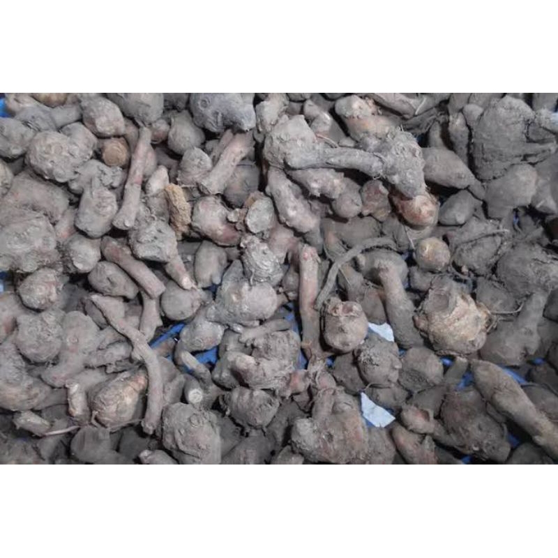 

TEMU KUNCI REMPAH REMPAH MPON MPON 1kg