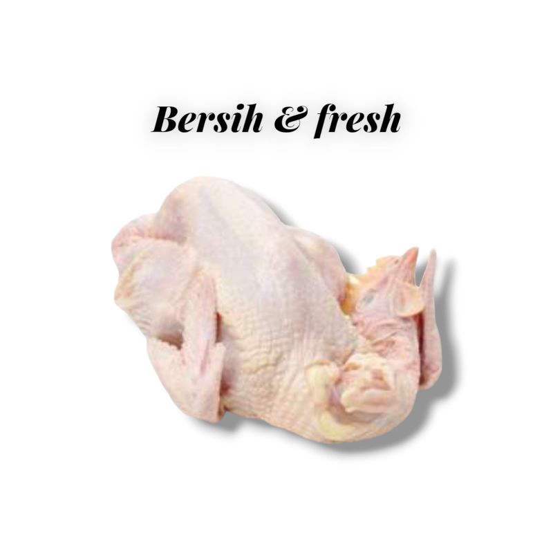 Ayam Utuh 1,5  Kg Palembang