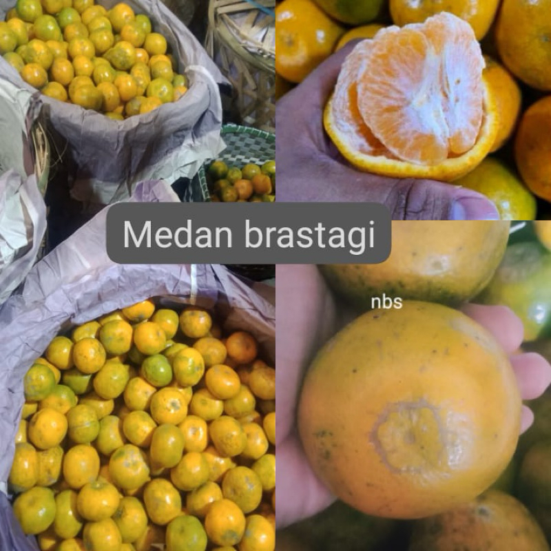 

jeruk medan brastagi 1kg