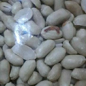 

PROMO 1kg KACANG KUPAS