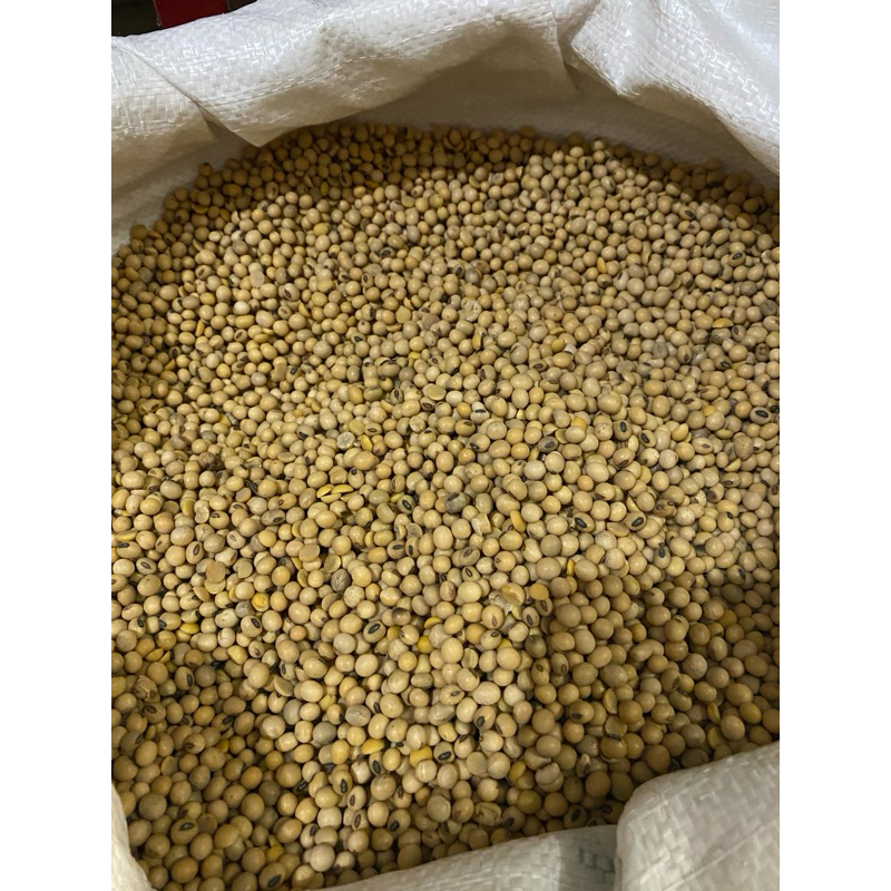 

kacang kedelai (250gr, 500gr, 1kg)