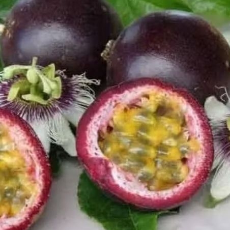 

Buah saprola / markisa hutan 1kg