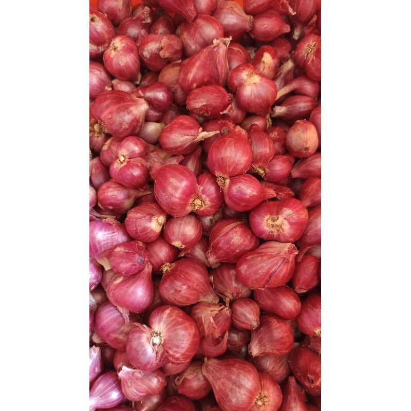 

BAMER Bawang Merah Murah [500gr]