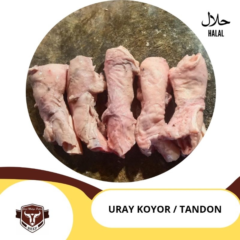 

urat sapi / urat tandon super / import 500gr