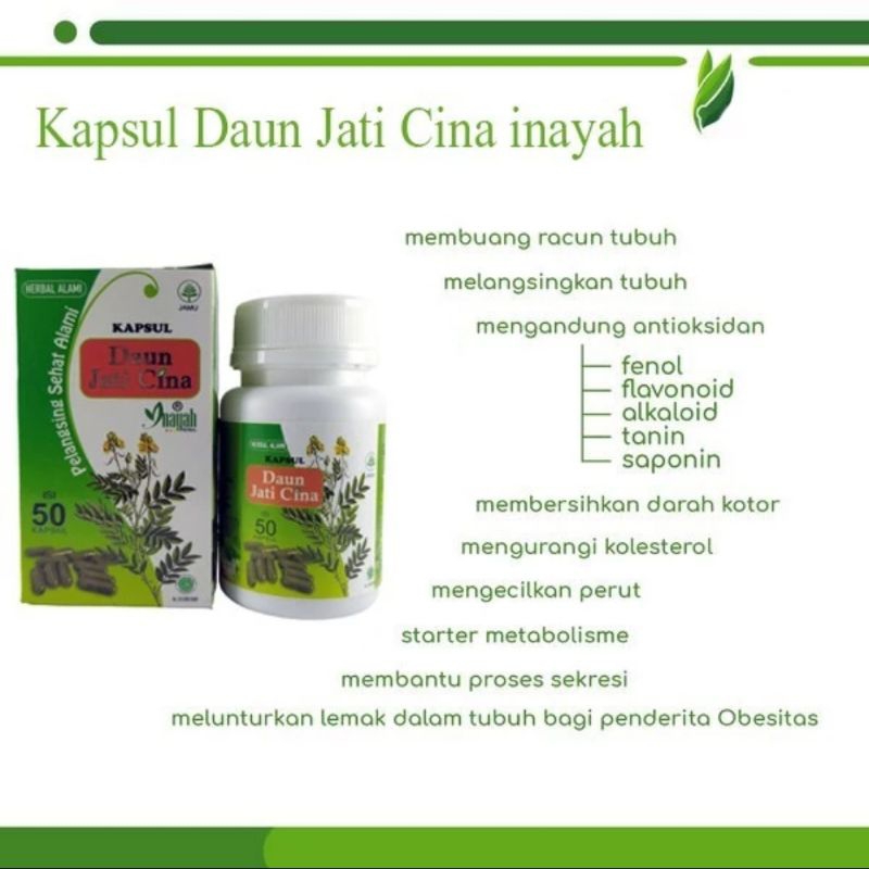 OBAT DIET HERBAL KAPSUL DAUN JATI CINA