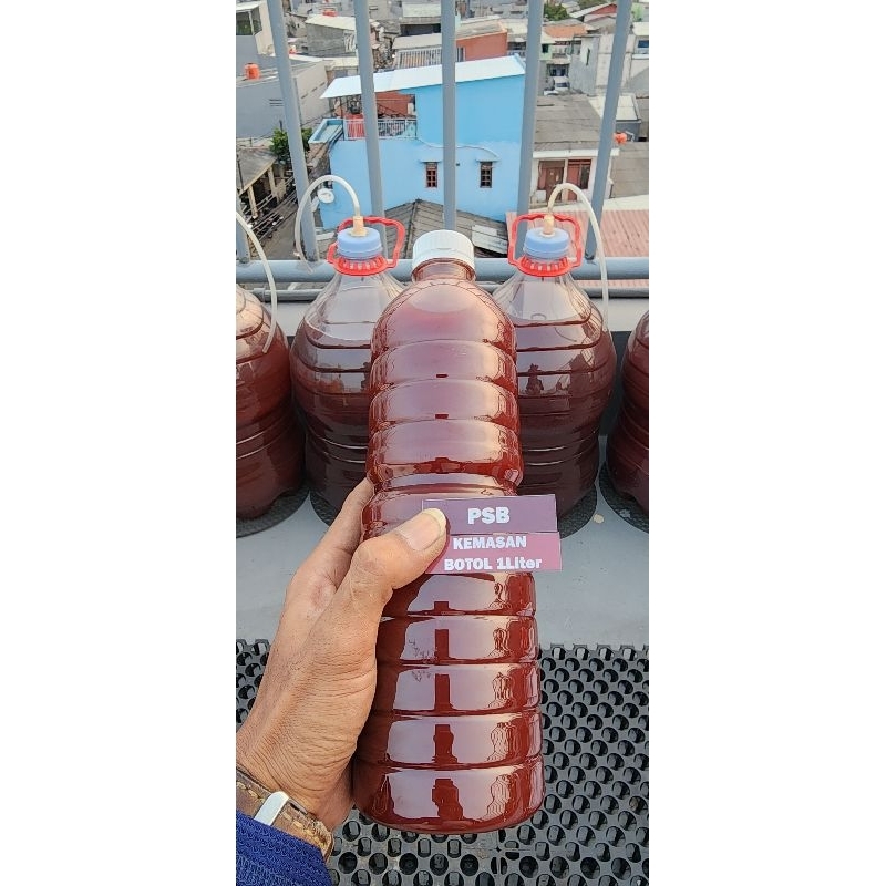 PSB Biang Bakteri Fotosintesis 1Liter