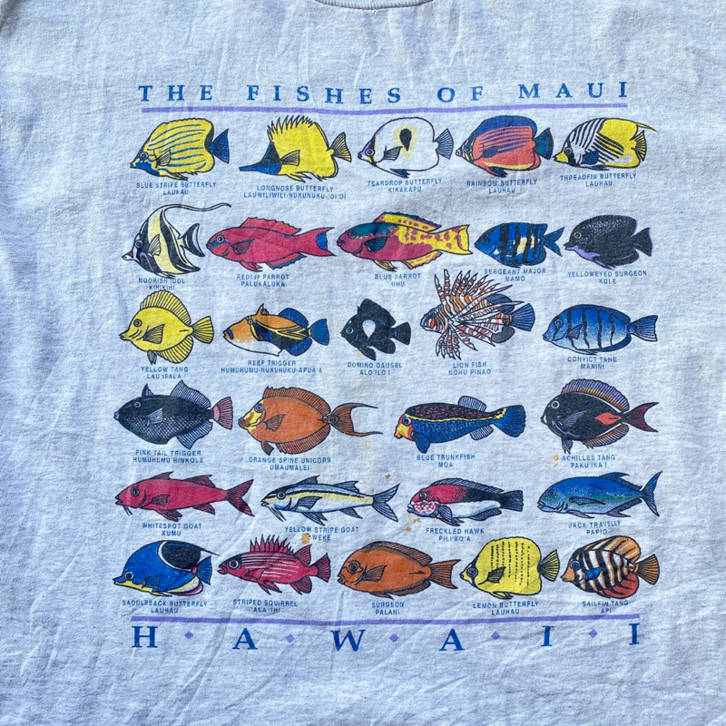 Art Hawai Tee✨
