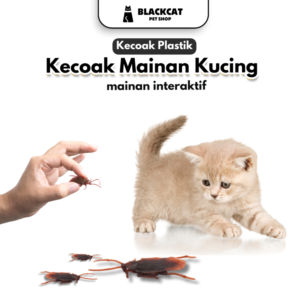 BLACKCAT Mainan Kecoak Karet Plastik Mainan Kucing Kecoa